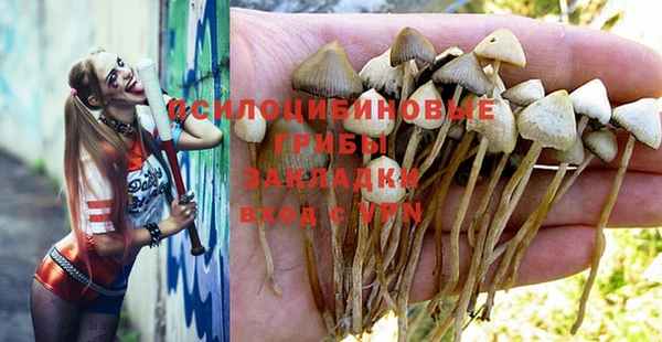 меф Новодвинск