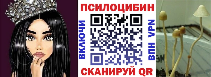 Галлюциногенные грибы Cubensis  Воскресенск 